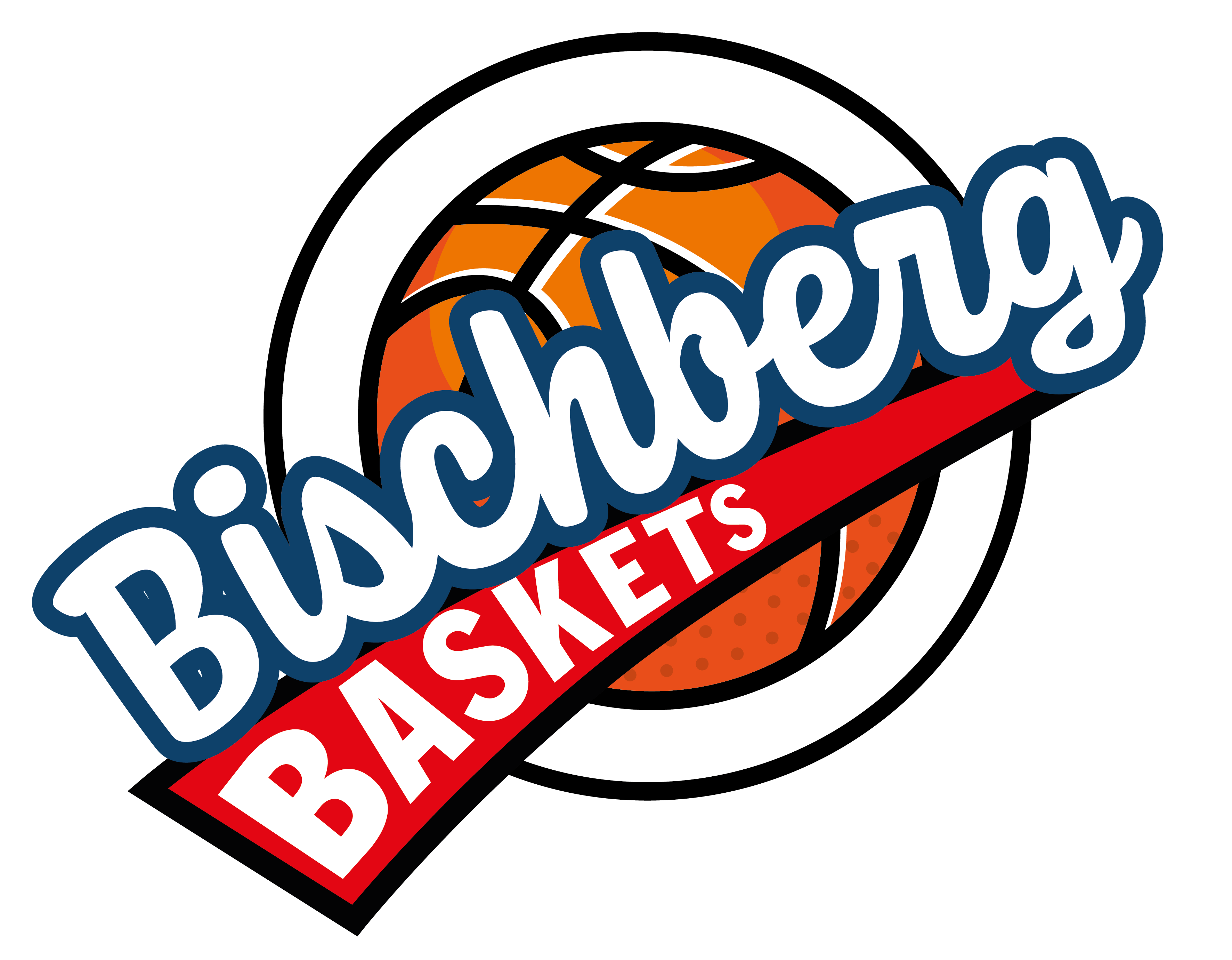 Logo Bischberg Baskets